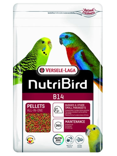 Current Product