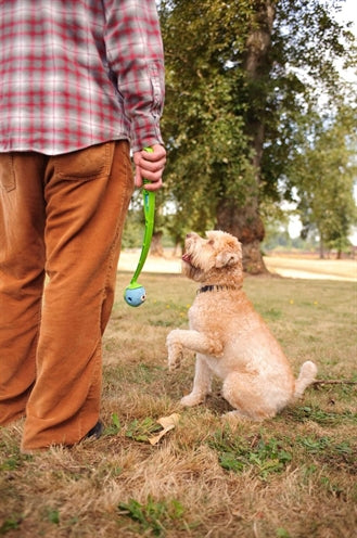 Chuckit – Jouet pour chien – Balle sifflante - Taille M – 6 cm - Caractéristiques