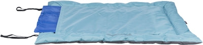Current Product
