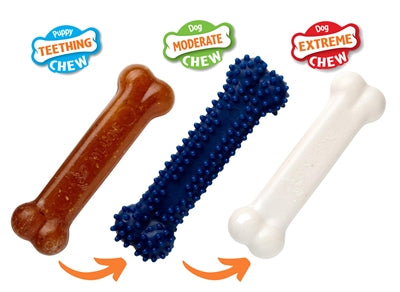 Nylabone – Jouet à mâcher pour chien – Kit de démarrage pour chiot au poulet - Caractéristiques