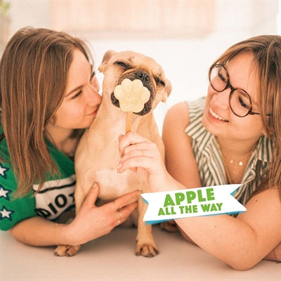 Smoofl Ijsmix Voor Honden Appel 160 Gr