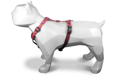 Morso – Harnais pour chien – H-Tuig Pink Think Rose recyclé - Caractéristiques