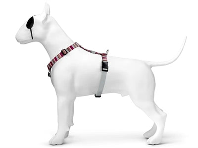 Morso – Harnais pour chien – H-Tuig Skyline Rouge/Rose recyclé - Caractéristiques