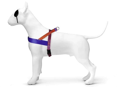 Morso – Harnais pour chien – Norvégien Urban Lizard Rouge recyclé - Caractéristiques