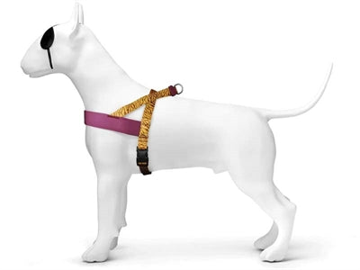 Morso – Harnais pour chien – Norvégien Jungle Drum Vert recyclé - Caractéristiques