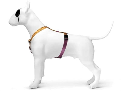 Morso – Harnais pour chien – H-Tuig Jungle Drum Vert recyclé - Caractéristiques