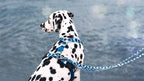 Morso Hondentuig H-Tuig Gerecycled Splash Blauw