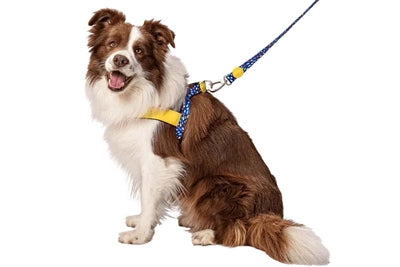 Morso – Harnais pour chien – Harnais norvégien recyclé Color Invaders Violet - Caractéristiques