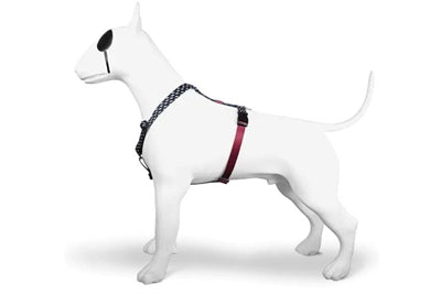 Morso – Harnais pour chien – H-Harnais recyclé Power Flow Noir - Caractéristiques