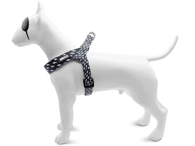 Morso – Harnais pour chien – Mini harnais recyclé Power Flow Noir - Caractéristiques
