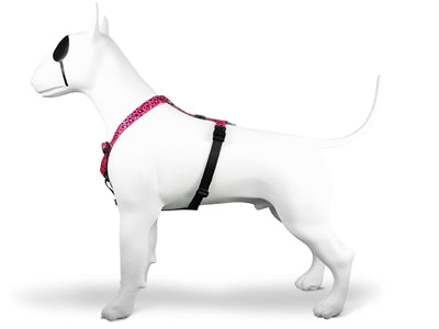 Morso – Harnais pour chien – H-Harnais recyclé Bubble Leo Rose - Caractéristiques