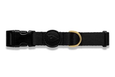 Morso – Collier pour chien – Gold Caviar Or recyclé - Caractéristiques
