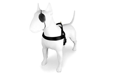 Morso – Harnais pour chien – Harnais norvégien recyclé Gold Caviar Or - Caractéristiques