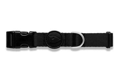 Morso – Collier pour chien – Pureness Noir recyclé - Caractéristiques