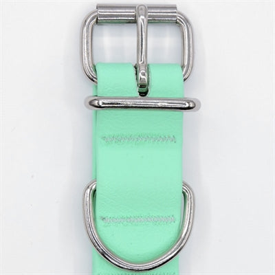 Morso – Collier pour chien – Collier imperméable recyclé – Vert Caraïbes - Caractéristiques