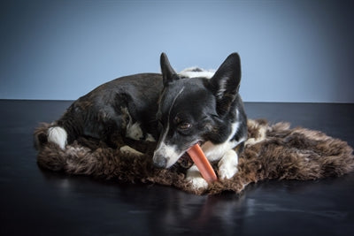 Henart – Friandises pour chien – Os au Fromage de Yak à la Fraise – 100 gr - Caractéristiques