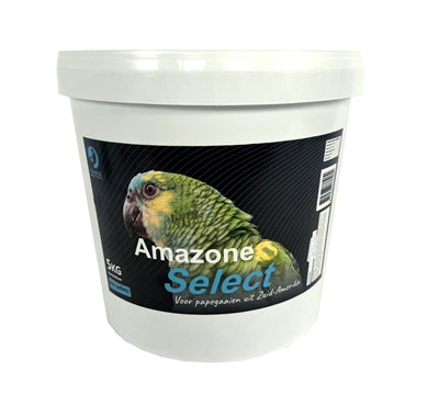 Current Product