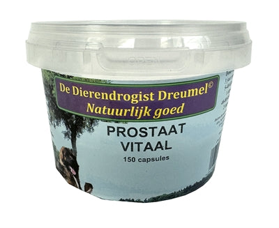 Current Product