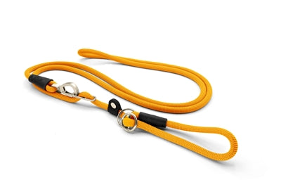 Morso – Laisse pour chien – Laisse retriever mains libres Regular Rope – Or – 260 x 1 cm - Caractéristiques