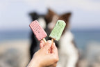 Trixie Ice Pop Roze