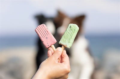 Trixie Ice Pop Roze 55 Gr