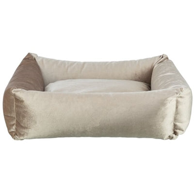 Current Product