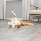 Trixie Kattenhengel Ster Kunststof / Pluche Met Catnip