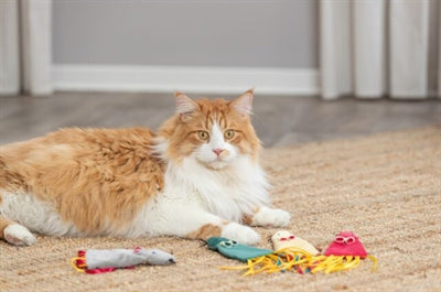 Trixie Muis Pluche Met Catnip Assorti 25 Cm 4 St