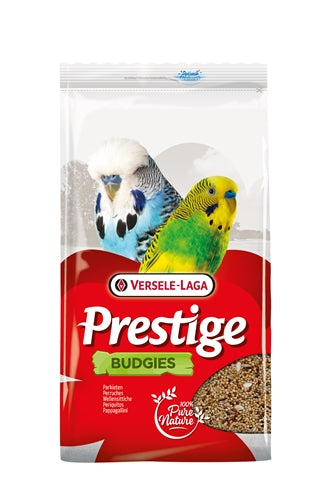 Current Product