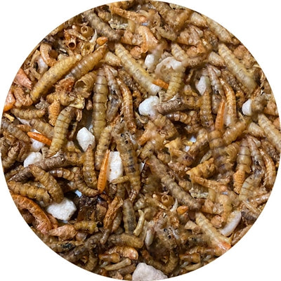 Utopia – Friandises pour oiseau et poule – Mélange d'insectes - Caractéristiques