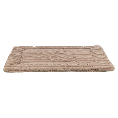 Current Product