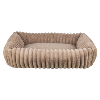Current Product