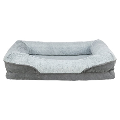 Current Product