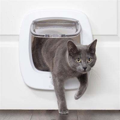 PetSafe – Chatière Big Cat 2.0 – Pour grand chat et petit chien – 28,7 x 35,35 cm
