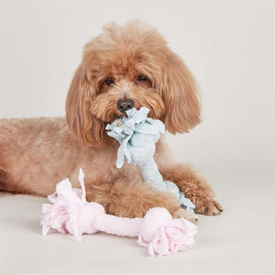 Fofos – Jouet pour chiot – Corde en éponge à 2 nœuds – 22 cm - Coloris aléatoire - Caractéristiques