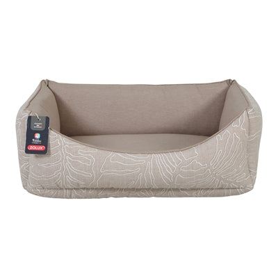Current Product