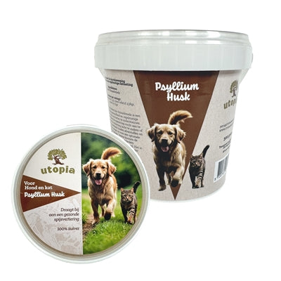 Current Product