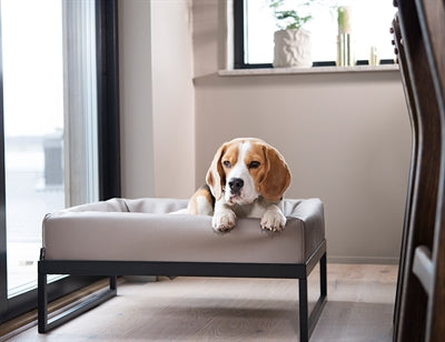 Bia Bed – Cadre de lit pour chien – Bia Air Frame pour Bia Bed 3 - Caractéristiques