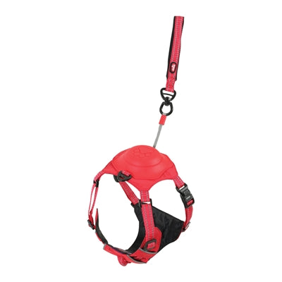 Current Product