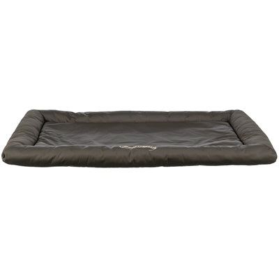 Current Product