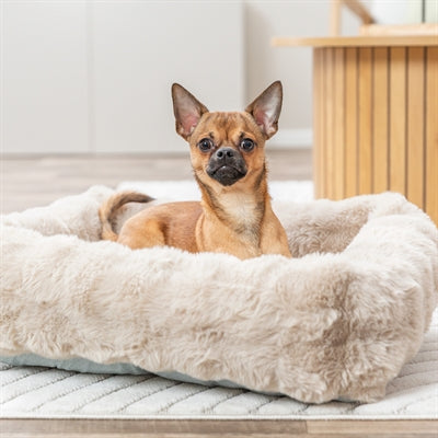 Trixie – Panier pour chien et chat – Elli Rectangulaire Beige - Caractéristiques