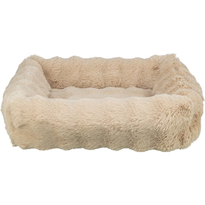 Current Product
