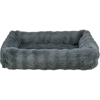 Current Product