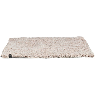 Current Product