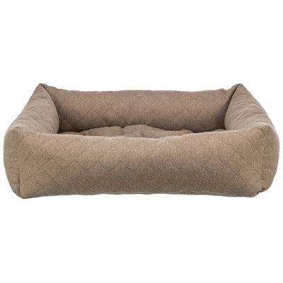 Current Product