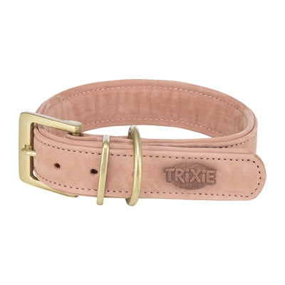 Current Product