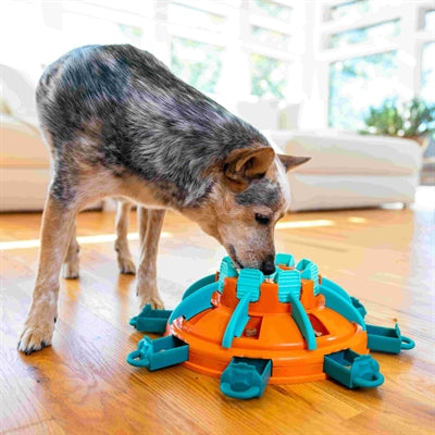 Nina Ottosson – Puzzle pour chien – Tour des friandises Orange & Bleu – Niveau 4 – 36 x 36 x 11 cm - Caractéristiques