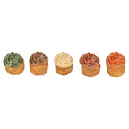 Trixie Cupcake Met Kippenborst