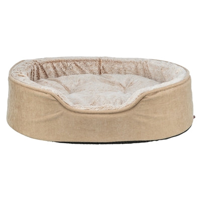 Current Product