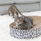 Trixie Krabmat / Mand Leo Karton Met Kattenkruid / Catnip Creme